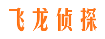 丁青寻人公司